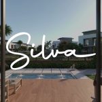 Silva project Sheikh Zayed